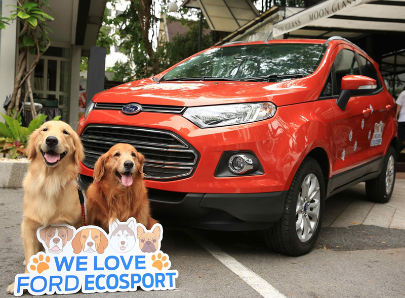 Ford Travelling Tips with Dogs_1