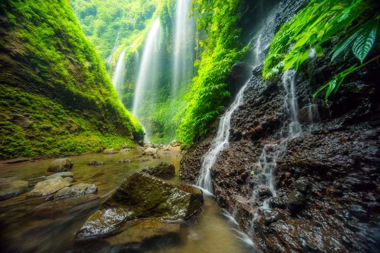32723157 - madakaripura waterfall, travel indonesia asia