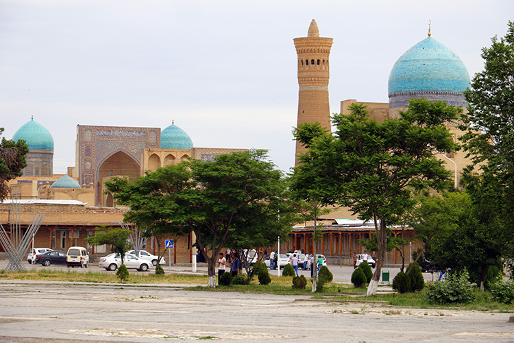 Bukhara 7118