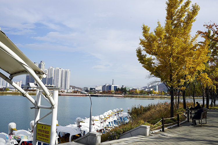 Daegu - Busan (Suseong Lake) 2