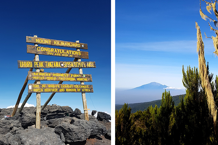 Kilimanjaro 133726