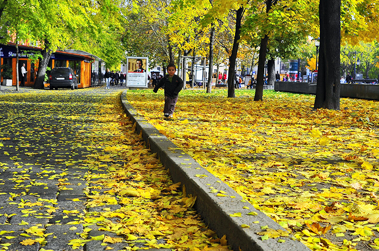 Autumn In Slovakia 6762