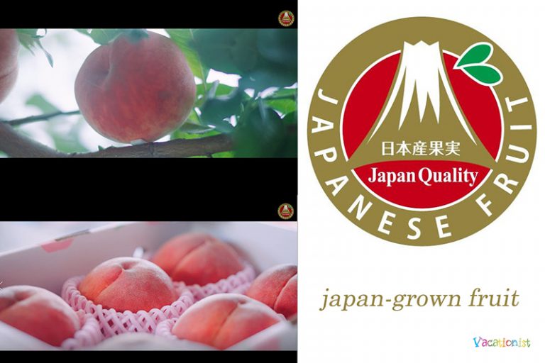 JAPANESE FRUIT. THE ULTIMATE GIFT. Vacationist