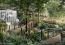 Dusit Central Park เผยภาพแลนด์มาร์กใหม่ของคนเมือง Thailand’s Largest Urban Roof Park สวนลอยฟ้าใจกลางเมืองที่ใหญ่ที่สุดในประเทศไทย ชวนคนไทยทั่วโลกร่วมแคมเปญ ‘Roof Park at Dusit Central Park: The Landmark of Thai Pride’