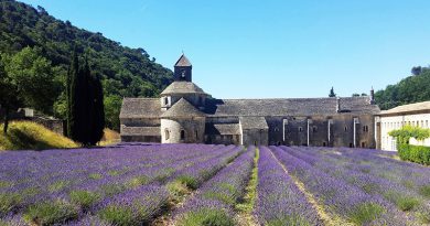 Heart of Provence เที่ยวโพรวองซ์ ฝรั่งเศสตอนใน
